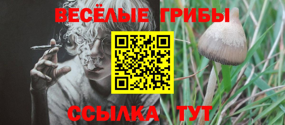 Буйнакск  Галлюциногенные грибы мицелий  Вход с VPN 